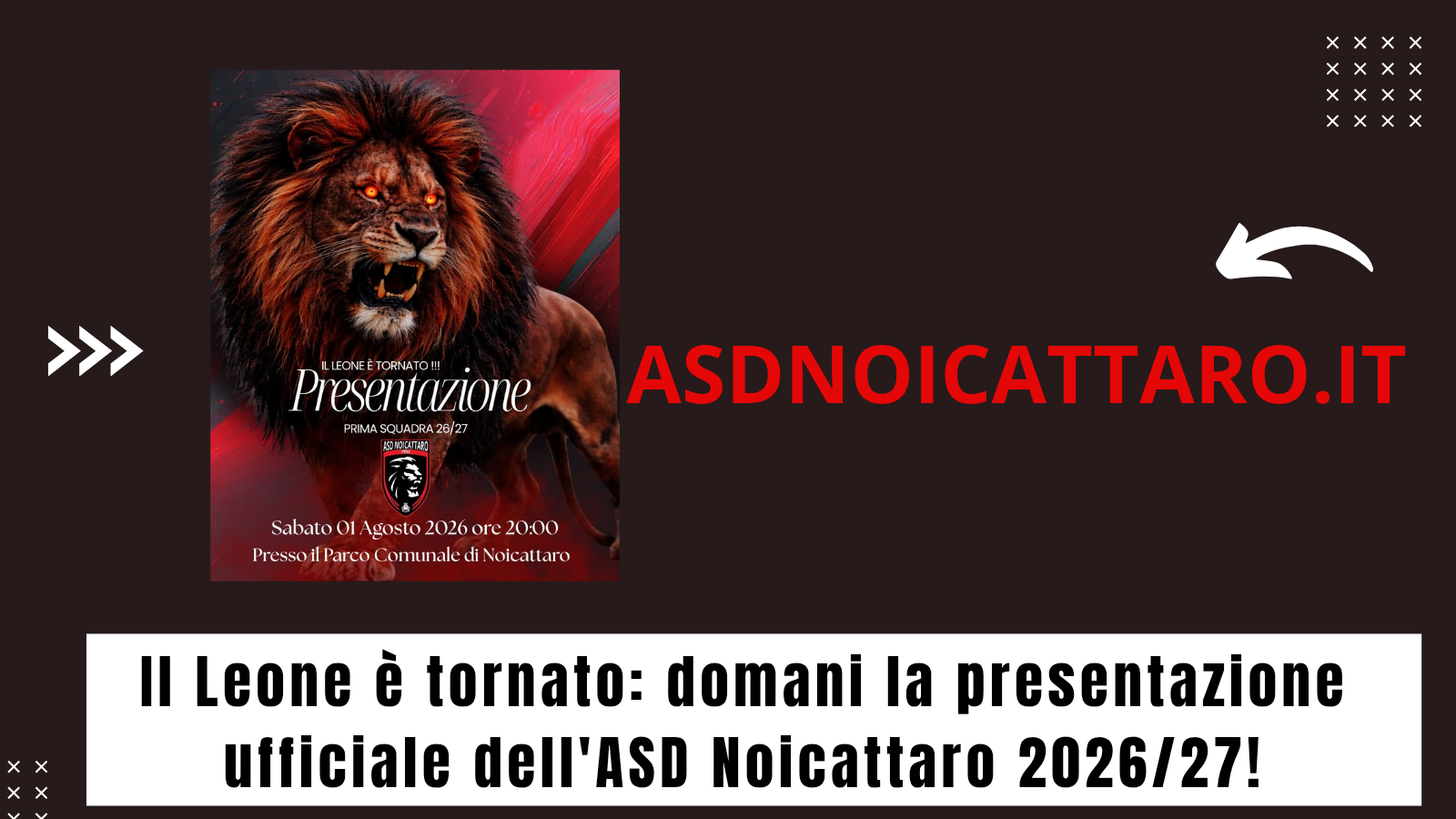 Il Leone è tornato: domani la presentazione ufficiale dell'ASD Noicattaro 2026/27!